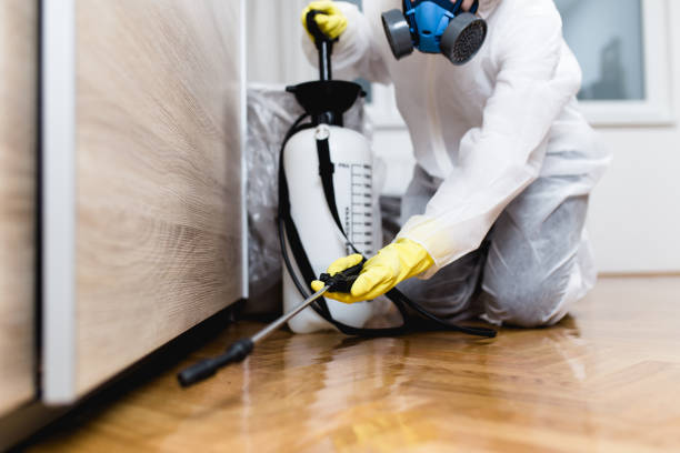 Best Termite Control Services  in Fort Deposit, AL