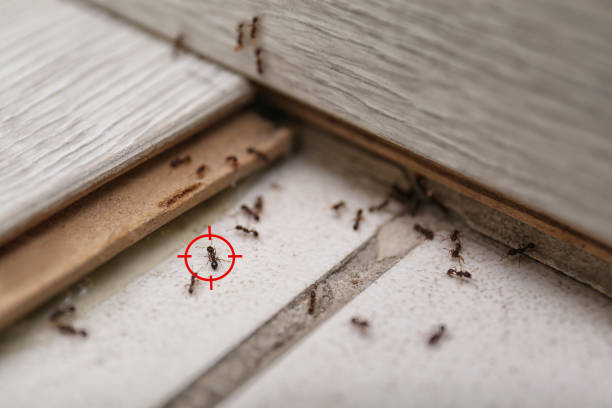 Best Wildlife Control Services  in Fort Deposit, AL