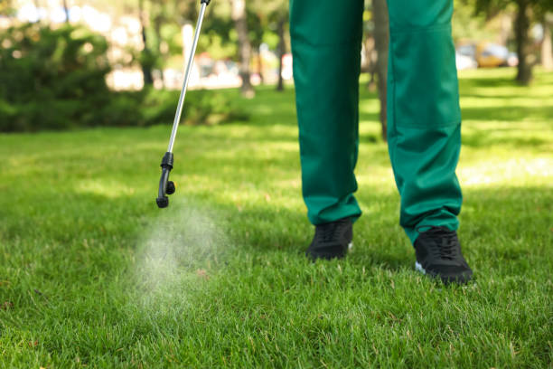 Best Wasp Removal Services  in Fort Deposit, AL
