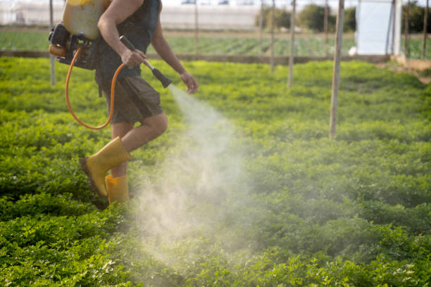 Reliable Fort Deposit, AL Pest Control Solutions