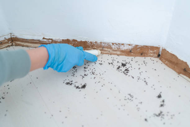 Best Pest Prevention Services  in Fort Deposit, AL